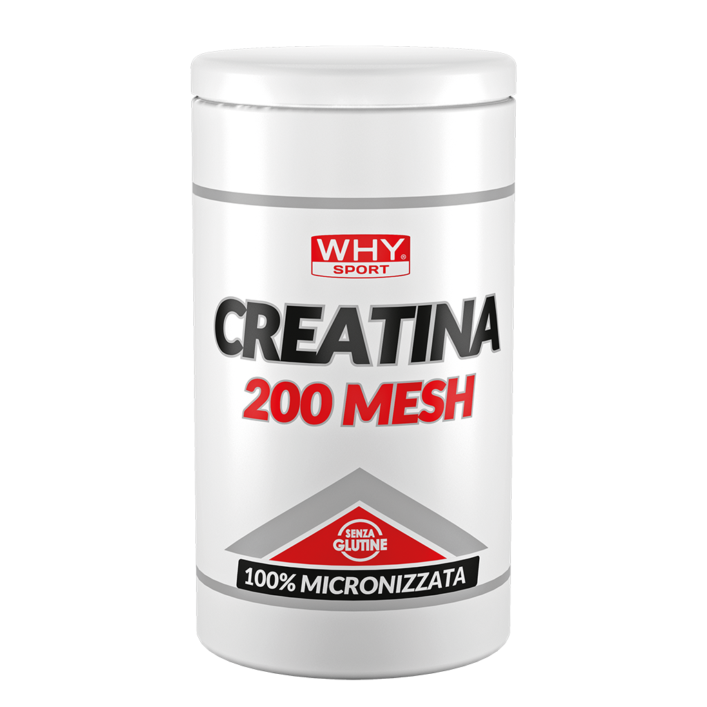 WHY SPORT |CREATINA 200 MESH