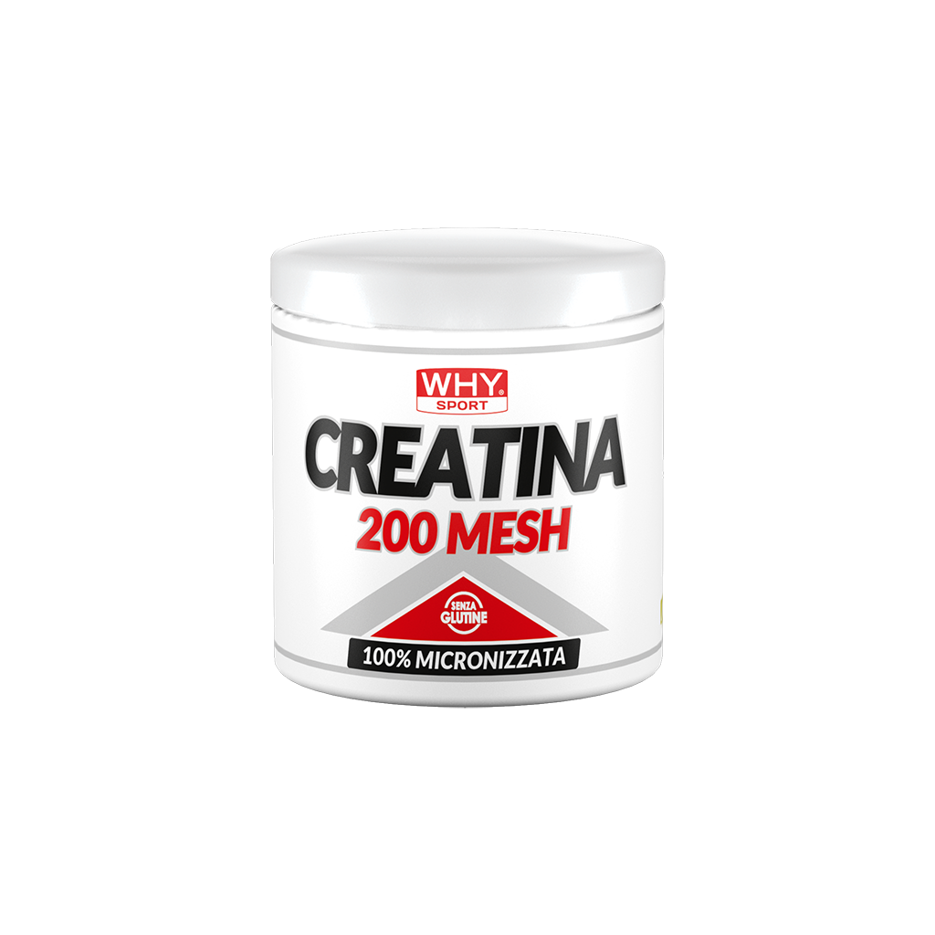 WHY SPORT |CREATINA 200 MESH