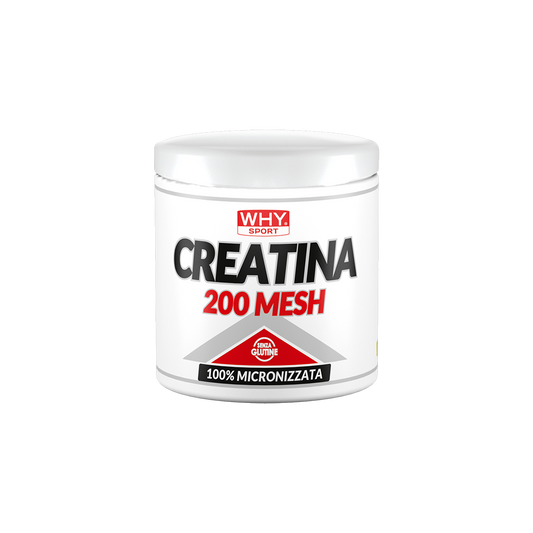 WHY SPORT |CREATINA 200 MESH